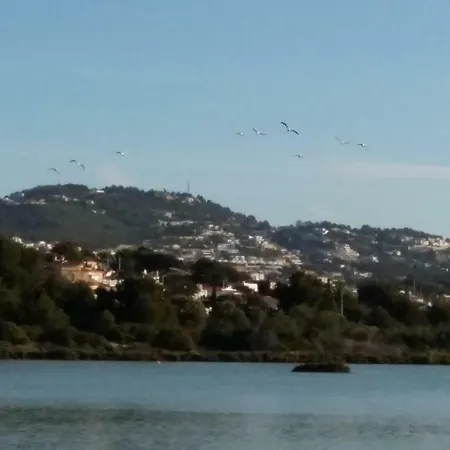 Apart. En A 150m. De La Playa Daire *